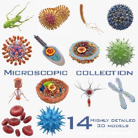 Microscopic Collection